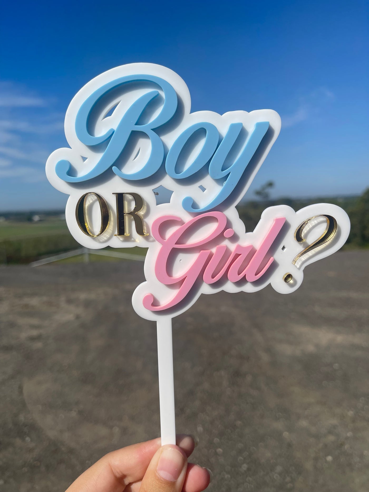 Gender Reveal Cake Topper