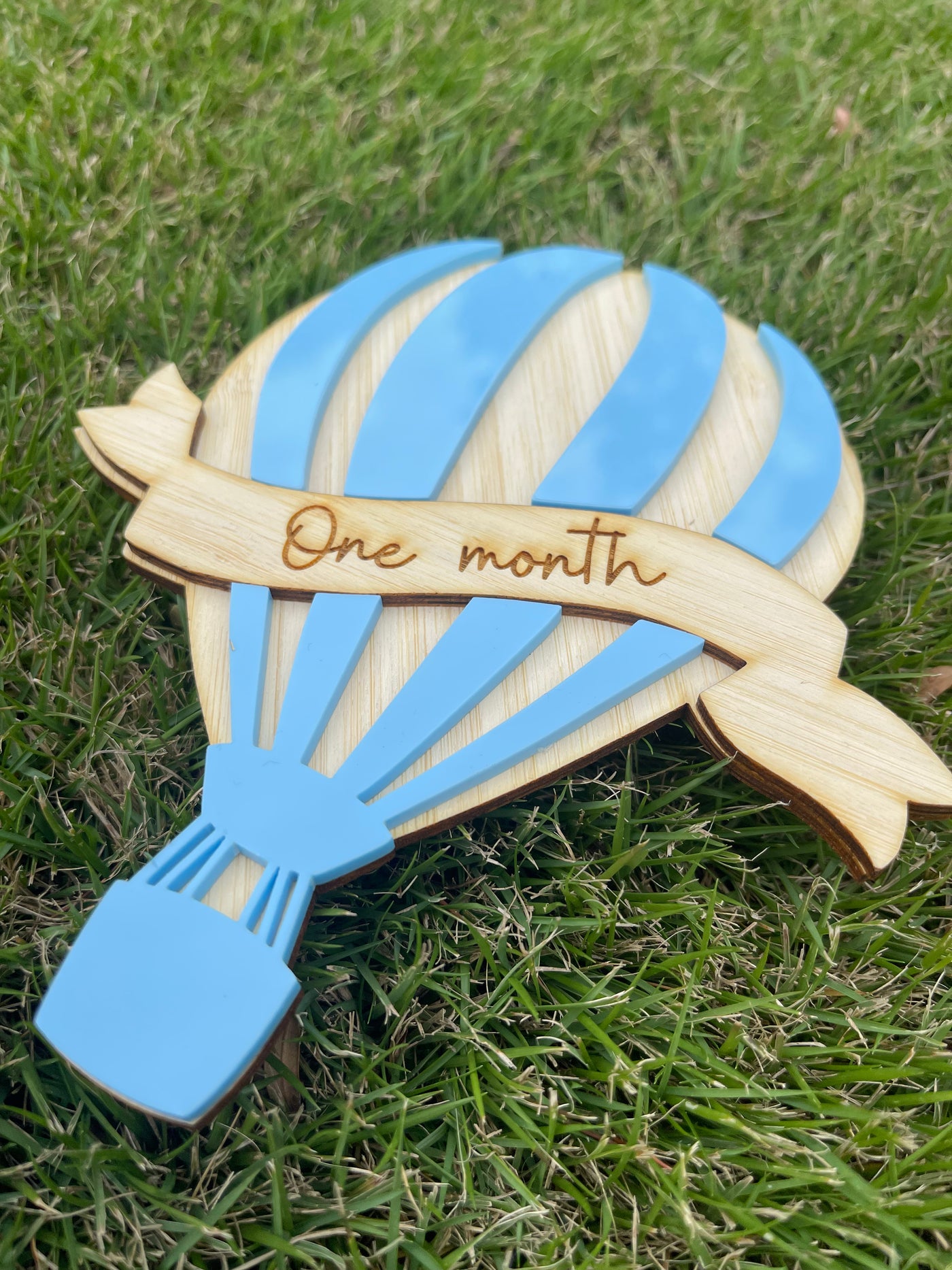 Hot Air Balloon Milestone Card Set